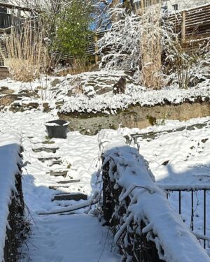 Anna Mannheimer Instagram - Det är faktiskt praktiskt med snö i april. 
Om du inte ser din katt direkt kan du bara följa spåren.
#Svante-Kåre #maincoonkillen
