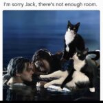 Anna Akana Instagram - There’s not enough room