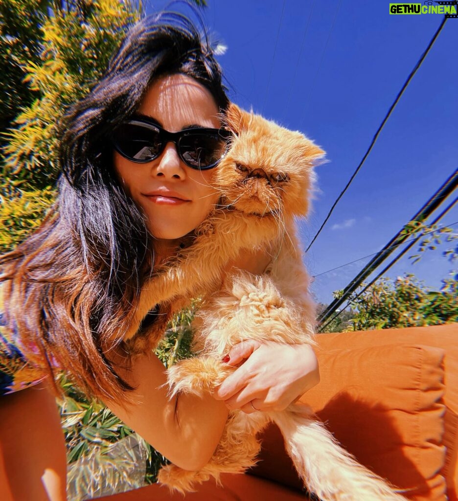 Anna Akana Instagram - This LA girlie is hopping across the pond this summer! ✨ who is coming to fringe or London? also pics of congress up on patreon to raise money for sulala animal rescue, the only organization in Gaza helping strays. we raised money for the kids a few months ago, so Congo said we should help the cats too x