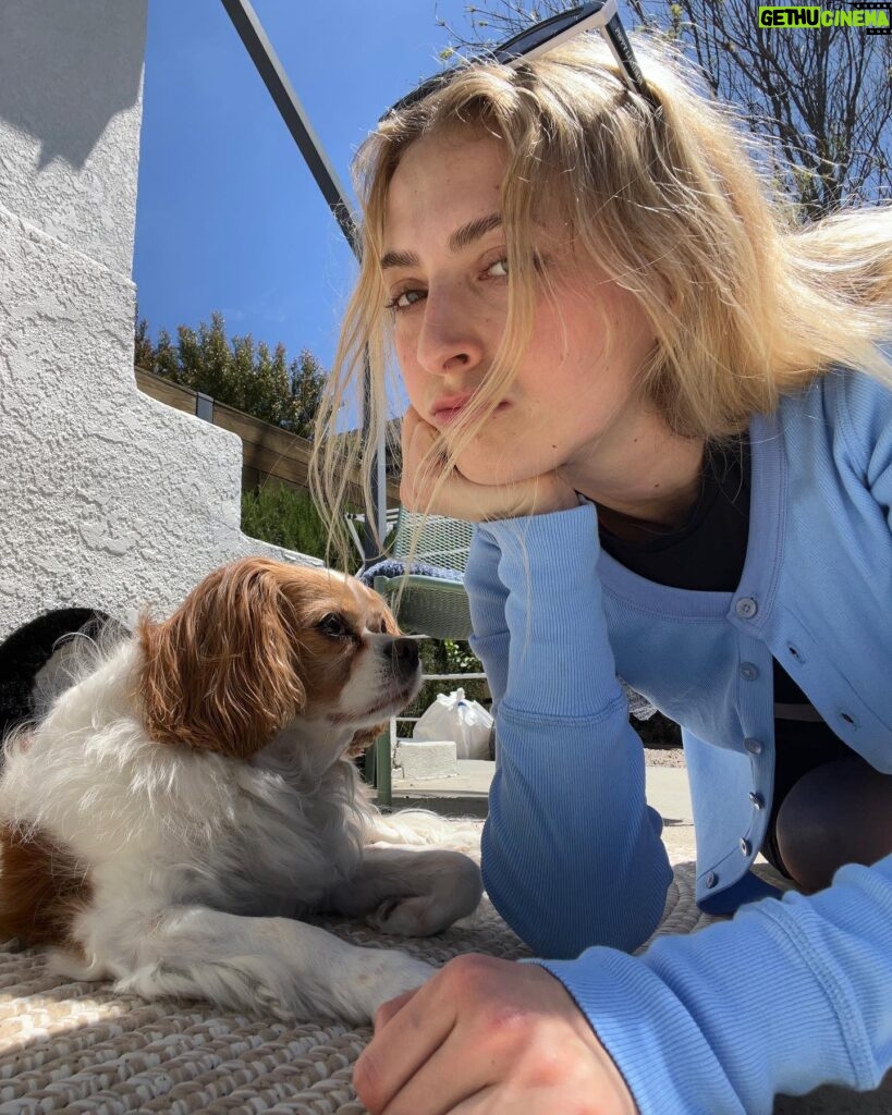 Anna Collins Instagram - Sorry I can’t hang out I already told my dog about u