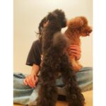 Anna Ishii Instagram - ラジオ「miziroind LIGHTBLUECAFE」 今回は、最近の趣味である編み物についてお話ししてます。 なので、この間編んだ帽子の写真☺︎ 緑の帽子と黒の帽子。 5696が大興奮でうまく写真撮らせてくれなかった😂 本日20:00〜FM大阪 明日8:00〜TOKYOFM