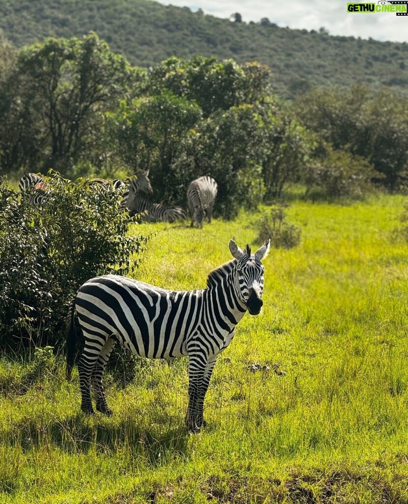 Anna Kadeřávková Instagram - POV: you take me on a safari date part 2 🤠🦓