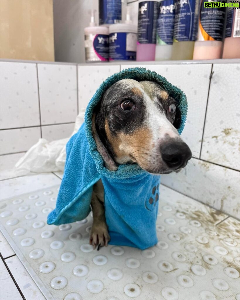 Anna Kadeřávková Instagram - Doggie treatment 🐶🛁🧡