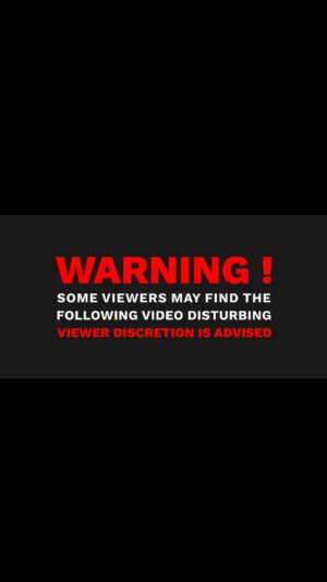 AnnaLynne McCord Instagram - COMING SOON… #trauma#healing#did#dissociativeidentitydisorder#ptsd#suicideprevention