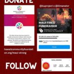 Anna Paquin Instagram - Posted @withregram • @ainamomona Maui needs you ✊🏽 Please make an effort to donate to Maui if possible. Follow @kakoo_haleakala for updates! — ‘Āina Momona is standing up this fundraiser to support our Maui community. All the funds raised will be given to the Hawaii Community Foundation Maui County Strong Fund https://www.hawaiicommunityfoundation.org/maui-strong to support disaster relief on Maui. We are using this ActBlue platform because giving is quick and easy, and the funds come to us immediately, allowing us to get these funds to families in need faster. An accounting of all the monies raised through this fundraiser and our distribution to HCF will be posted to our website. Mahalo for your support. — Correction on slide 4: Fundraiser is hosted by @ilimanator not @thekuproject #mauihawaii #wildfires #mauilife #mauinokaoi #ainamomona #aina