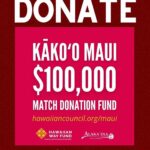 Anna Paquin Instagram - Posted @withregram • @ainamomona Maui needs you ✊🏽 Please make an effort to donate to Maui if possible. Follow @kakoo_haleakala for updates! — ‘Āina Momona is standing up this fundraiser to support our Maui community. All the funds raised will be given to the Hawaii Community Foundation Maui County Strong Fund https://www.hawaiicommunityfoundation.org/maui-strong to support disaster relief on Maui. We are using this ActBlue platform because giving is quick and easy, and the funds come to us immediately, allowing us to get these funds to families in need faster. An accounting of all the monies raised through this fundraiser and our distribution to HCF will be posted to our website. Mahalo for your support. — Correction on slide 4: Fundraiser is hosted by @ilimanator not @thekuproject #mauihawaii #wildfires #mauilife #mauinokaoi #ainamomona #aina