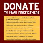Anna Paquin Instagram - Posted @withregram • @ainamomona Maui needs you ✊🏽 Please make an effort to donate to Maui if possible. Follow @kakoo_haleakala for updates! — ‘Āina Momona is standing up this fundraiser to support our Maui community. All the funds raised will be given to the Hawaii Community Foundation Maui County Strong Fund https://www.hawaiicommunityfoundation.org/maui-strong to support disaster relief on Maui. We are using this ActBlue platform because giving is quick and easy, and the funds come to us immediately, allowing us to get these funds to families in need faster. An accounting of all the monies raised through this fundraiser and our distribution to HCF will be posted to our website. Mahalo for your support. — Correction on slide 4: Fundraiser is hosted by @ilimanator not @thekuproject #mauihawaii #wildfires #mauilife #mauinokaoi #ainamomona #aina