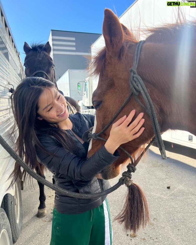 Anna Sawai Instagram - My favorite castmate from the set of Shogun♥️ The crew would joke that anytime I went missing, they’d look for the horses or crafty (where I’d be getting apples for the horses). Wasn’t really a joke though. A big thank you to the Jamie and his team for everything they taught me and always letting me come hang out. I’ll miss you Deucie poo🤎 とても懐っこくて、自分の紐を解いちゃう頭の良さを持ちながら、公園で遠くに人が見えたらびっくりして動かなくなっちゃう面白い性格のドゥース。 いっぱい幸せ分けてくれてありがとう。私のこと忘れないでね🥹