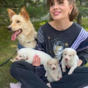 Anna Shulgina Instagram - Сегодня мне исполнилось 30 лет🥳

Несмотря на эту круглую цифру, состоящую из уже какого-то ощутимого жизненного опыта, я продолжаю верить в Людей и Любовь. Мне важно быть полезной для кого-то, ведь это один из тех способов, который приносит настоящее счастье. 
Сегодня я хочу быть полезной для братьев наших меньших, а именно для породистого хаски Марса , молодой мамы Лисы и трех её щенят (2 девочки и 1 мальчик). 
Мы с @help_maltese ищем им дом.

Если хотите поздравить меня, то лучшим подарком будет репост, чтобы эти красавцы нашли свою семью! ❤️