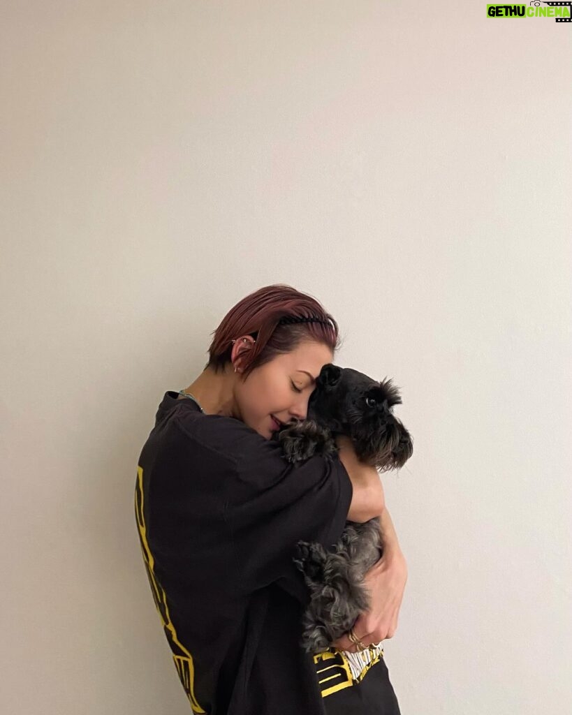 Anna Tsuchiya Instagram - 土屋、実はワンコも好きです🐶❤️ というかもう動物は全部好き❤️‍🔥❤️‍🔥❤️‍🔥 #土屋アンナ #annatsuchiya