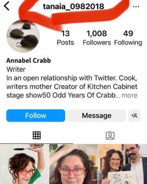 Annabel Crabb Instagram - Hey friends if you come across this @instagram account pretending to be me … it really isn’t. And if it DMs you to help support the RESTAURANT I OPENED… ahhh… please don’t. I trust that most people who know me would be too helpless with laughter at the idea of my managing a restaurant to even click on a dodgy link but … you’re all kind and optimistic people so probably worth warning. Also if I do ever open a restaurant, probably don’t invest unless you enjoy the visuals of an enthusiastic lady ordering a million expensive ingredients then forgetting to charge people or just insisting they stay for seven hours.
Whoever you actually are, tanaia_0982018 … tough way to make a living mate.