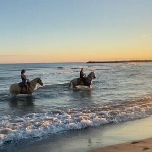 Anne Caillon Instagram - Quand tu leur dis merci 🥲
#cheval #emotions #animals #camargue #seabath #été #loveanimals 
Rencontre fortuite, merci la vie,mon Hadrien merci …versé ma larme , check ✅ @hadrienmollard