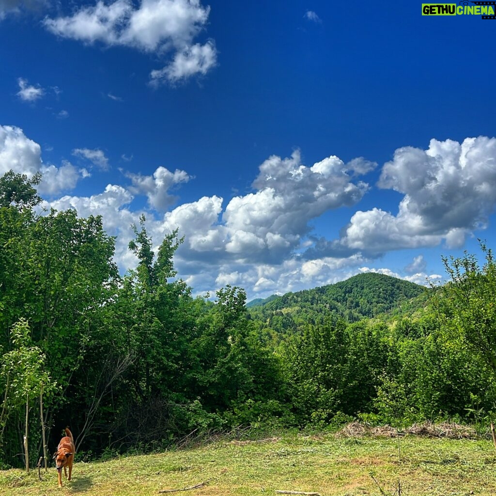 Antonija Blaće Instagram - Evo vam malo plave i zelene da vam se oči odmore 😍 koja vas više odmara?