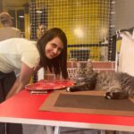 Anubha Sourya Sarangi Instagram - Stepping into @purred_at_charlie_thecatcafe - J P Nagar' was pure magic. Surrounded by furry cuties, their love and friendliness filled my heart with joy. Sending prayers for the amazing owners who rescue, care for, and vaccinate these precious souls. Their selflessness inspires me to find more kindness on my journey. Grateful for places like this that remind us of the power of compassion. #PURRedAtCharlies #CatCafeLove #KindnessMatters"