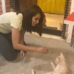 Anubha Sourya Sarangi Instagram - Stepping into @purred_at_charlie_thecatcafe - J P Nagar' was pure magic. Surrounded by furry cuties, their love and friendliness filled my heart with joy. Sending prayers for the amazing owners who rescue, care for, and vaccinate these precious souls. Their selflessness inspires me to find more kindness on my journey. Grateful for places like this that remind us of the power of compassion. #PURRedAtCharlies #CatCafeLove #KindnessMatters"