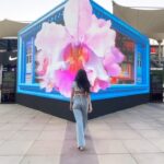 Anvesha Vij Instagram – Craving a slice of Singapore in Mumbai? 🌆✨ Swing by Phoenix Palladium for a mind-blowing Singapore showcase and check out @visit_singaporein ’s 3D anamorphic installation to get a sneak peak of what’s to come!

Plus, there’s an awesome AR Filter contest where you can explore famous Singaporean spots. And guess what? You could even win a trip to Singapore!

Here’s how:

1. Scan the QR
2. Rock the filter
3. Tag @visit_singaporein & @homegrownin 
4. Add your creative flair to your video and you could be jet-setting to Singapore!

Don’t forget to indulge in some delicious Singaporean-inspired food and cocktails at @socialoffline . Let’s get our Singapore trip on the calendar! 🍹🍜

📍Phoenix Palladium, Lower Parel, Mumbai
#passionmadepossible #madeinsingapore