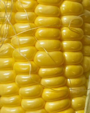 Aoi Yamada Instagram - corn corn knock 
#yasaidance
