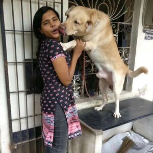 Aparna Narayanan Instagram - 18/11/2010 - 20/07/2023

Rocky Narayanan ❤️

Rocky left us last week and I can’t express how much we miss him. I still remember the first day my brother brought him home. He was a 33 days old pup who was almost our palm size and was so sleepy that he couldn’t even open his eyes completely. That night he slept on my brother’s neck for sometime. For the initial months we fed him cerlac and I remember one of the early days he fell into the bowl sleepy while eating. His early phase was all about eating, sleeping and running around the house. The curiosity in his eyes grew everyday and so did his naughtiness. Gosh, he was so lively and always kept us on our toes. Rocky was the one I would long to come back to, from school. His happiness knew no bounds when he heard my school van returning home. He would greet and welcome us all with love and excitement. Not just me and my family, everybody who met him was welcomed the same way. It’s beautiful how animals are born with the qualities that takes us a lifetime to learn. Kindness and unconditional love. He didn’t care what we studied, where we worked, what we wore, nothing. He just wanted us around him so that we could play with him and rub his belly. I remember my Anna, amma and I would deliberately change rooms just to see him follow us wherever we went. Rocky made our lives better and happier. He could never stand any of us cry. He would immediately lick our tears and make us feel better. This he did till his last. I’m just pouring out my emotions as it is. Rocky had very simple joys in life. He loved going for walks and car rides, playing hide and seek with us and he especially enjoyed sitting at the beach watching the waves. Rocky was a god sent healer. We are very grateful for the time we had with him and will cherish these memories forever. I miss playing with him, giving him belly rubs, hugging him, sleeping next to him, taking him on his walks, etc. But most of all, I miss just seeing him around. He was comfort. He was kindness. He was love. He was our happiness.

Rocky, we miss you chellam. This void can never be filled. Thank you for all the memories. You will be remembered forever. Akka loves you ❤️