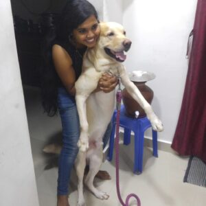 Aparna Narayanan Instagram - 18/11/2010 - 20/07/2023

Rocky Narayanan ❤️

Rocky left us last week and I can’t express how much we miss him. I still remember the first day my brother brought him home. He was a 33 days old pup who was almost our palm size and was so sleepy that he couldn’t even open his eyes completely. That night he slept on my brother’s neck for sometime. For the initial months we fed him cerlac and I remember one of the early days he fell into the bowl sleepy while eating. His early phase was all about eating, sleeping and running around the house. The curiosity in his eyes grew everyday and so did his naughtiness. Gosh, he was so lively and always kept us on our toes. Rocky was the one I would long to come back to, from school. His happiness knew no bounds when he heard my school van returning home. He would greet and welcome us all with love and excitement. Not just me and my family, everybody who met him was welcomed the same way. It’s beautiful how animals are born with the qualities that takes us a lifetime to learn. Kindness and unconditional love. He didn’t care what we studied, where we worked, what we wore, nothing. He just wanted us around him so that we could play with him and rub his belly. I remember my Anna, amma and I would deliberately change rooms just to see him follow us wherever we went. Rocky made our lives better and happier. He could never stand any of us cry. He would immediately lick our tears and make us feel better. This he did till his last. I’m just pouring out my emotions as it is. Rocky had very simple joys in life. He loved going for walks and car rides, playing hide and seek with us and he especially enjoyed sitting at the beach watching the waves. Rocky was a god sent healer. We are very grateful for the time we had with him and will cherish these memories forever. I miss playing with him, giving him belly rubs, hugging him, sleeping next to him, taking him on his walks, etc. But most of all, I miss just seeing him around. He was comfort. He was kindness. He was love. He was our happiness.

Rocky, we miss you chellam. This void can never be filled. Thank you for all the memories. You will be remembered forever. Akka loves you ❤️