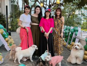 Apple Hong Instagram - We had a “Pawfect” time! We’re a bunch of happy Pawsrent 🐾 Such a great evening with cuteness overloaded by all the fur kids 🐶🦮🐕‍🦺🐩🐕 Happy 10th anniversary @springveterinarycare @pawlyclinic Congratulations on 10 years of excellence dear Dr. Rachel and team 🥳🥂