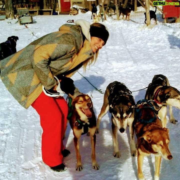 April Bowlby Instagram - Had the most AMAZING time with this magnificent pack. Thank you #edenethicaldogsledding What an adventure! ❄️🐕 #dogsledding #dogpack #vermontmagic