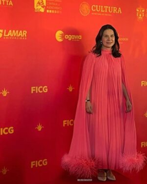Arcelia Ramírez Instagram - Estoy profundamente agradecida con el Festival Internacional de Cine de Guadalajara @ficg por este magnífico reconocimiento, el Mayahuel de plata! Gracias a Estrella Araiza su directora, a los miembros del patronato, a todo el equipo que lo hace posible, muchas gracias!

Gracias @benitosantosoficial por este magnífico vestido para esta noche tan especial! 

#ficg