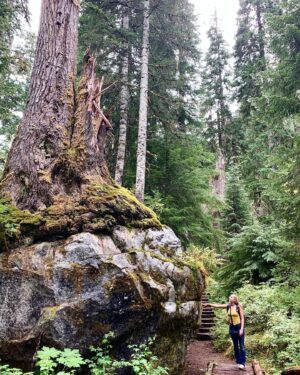 Arianna Powell Instagram - Some beauty from end of summer road trip 🏞