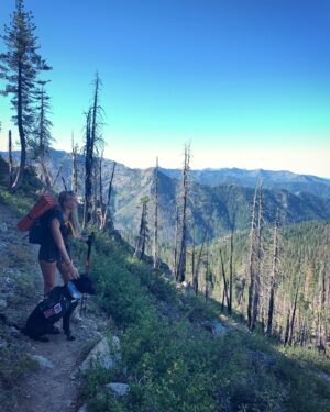 Arianna Powell Instagram - Joined my badass of a brother @bpow_wow on his thru hike from Canada to Mexico for a 60 mile section of the PCT from Seiad Valley to Etna. Kenny the dog came and crushed it. It was truly epic 😩 @janozveren you would be so proud of your boyyy!!!