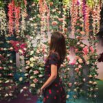 Ariel Mortman Instagram - There’s Tequila behind these fake flowers
