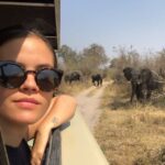 Ariel Mortman Instagram – Casually chilling with my homies, NBD 🐘💕 #fbf #africa