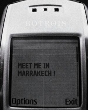 Arielle Salvaje Instagram - Meet me in Marrakech. 🌴