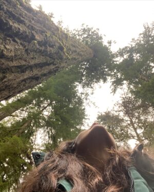 Arienne Mandi Instagram - Found my new favorite trees