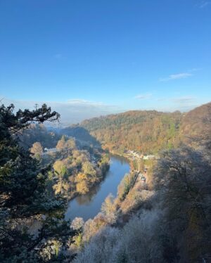 Arlo Parks Instagram - Jewels! Forest of Dean! Mexico! favourite people! Gregg Araki! November!
