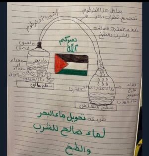 Arsema Thomas Instagram - All I see is pain.
First image shows instructions for how to clean seawater via @mariambarghouti