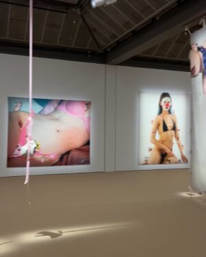 Arvida Byström Instagram - My exhibition Cut The Cake at @dunkerskultur up until August
