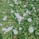 Asena Tuğal Instagram -