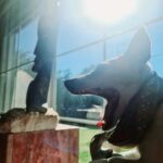 Asena Tuğal Instagram -