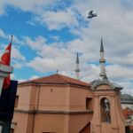 Asena Tuğal Instagram - Dalga geçmemeli, ağlayıp sızlamamalı, nefret etmemeli ama anlamalıyız... Spinoza