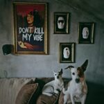Asena Tuğal Instagram -