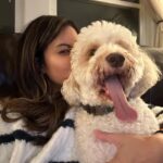 Ashley Argota Instagram - husband, dog, sports, repeat
