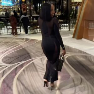 Ashley Blaine Featherson Instagram - Sheer Perfection🖤