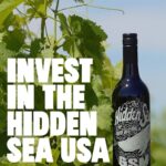 Ashley Williams Instagram - Last night, The Hidden Sea founder Richie Vandenberg came to our home & had dinner (& wine!) with me, Neal, and our kiddos. He’s now also my buddy. We invested in the launch of the U.S. arm of his amazing company @thehiddenseawine because 1. We love their mission and 2. We love their wine… And now it’s also OUR wine! We have a wine! For every bottle of wine sold, they remove 10 plastic bottles from the ocean. It’s as simple as that. If that sounds as good (& yummy) to you as it does to us — join us by investing in their company by clicking the link in my bio. For as little as a nice dinner with friends. One Wine. One Mission. To remove the plastic from the ocean. One billion bottles out of the ocean by 2030 is an ambitious and crucial goal. And wine is one of life’s great things…