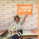 Ashley Williams Instagram - Secret is out!! I’m so proud to announce my foster fail! This weekend at the @bfas_la #superadoption our family officially welcomed Alma into our home forever! This lady has had a long road and was quiet and slept a lot the first week she was with us — the shelter said she’d been exhibiting signs of depression. She has fully come to life now and we take long hikes together and cuddle for hours. She’s so gentle with my rowdy boys and we couldn’t love her more. Best part? Best friends waved all adoption fees of dogs five and older so this was freeeee! Jackpot! Thank you @bestfriendsanimalsociety for your ongoing support and devotion to #savethemall! #dogsofinstagram #adoptdontshop #rescuedogsofinstagram #almathedog #husky #mix #fosterfail @photolori