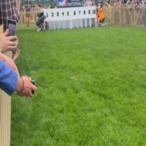 Ashly Burch Instagram - We went to the corgi nationals and it was one of the greatest decisions I've ever made. Swipe for video