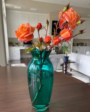Ashwini Bhave Instagram - Holding a piece of my garden's serenity in my hands! Plucked these beautiful flowers right from my yard🌷🧡
Are you as excited as I am for a delightful garden tour? Stay tuned for a new #TheGreenDoor video where I'll be taking you through the vibrant world of blooms. Let's embrace natural beauty together! 🍃

#HappySunday #flowers #backyard #staytuned #thegreendoor #blooms #nature #weekendvibes #sundayfeels #AshviniBhave
