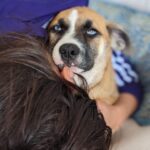 Asia Ortega Instagram - ✨CHILLIN✨ a llegado a casa para llenar corazones. Kayser ya vive con su hermana🐾 y nosotros @adrybilly junto la hija adoptiva 🤍 más guapa #adopta #adoptanocompres