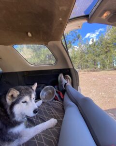 Aspen Ladd Instagram - 10 miles of beautiful adventure, followed by absolutely gutting a room in my house after an unfortunate plumbing incident 😩 All fixed up and cleaned up now