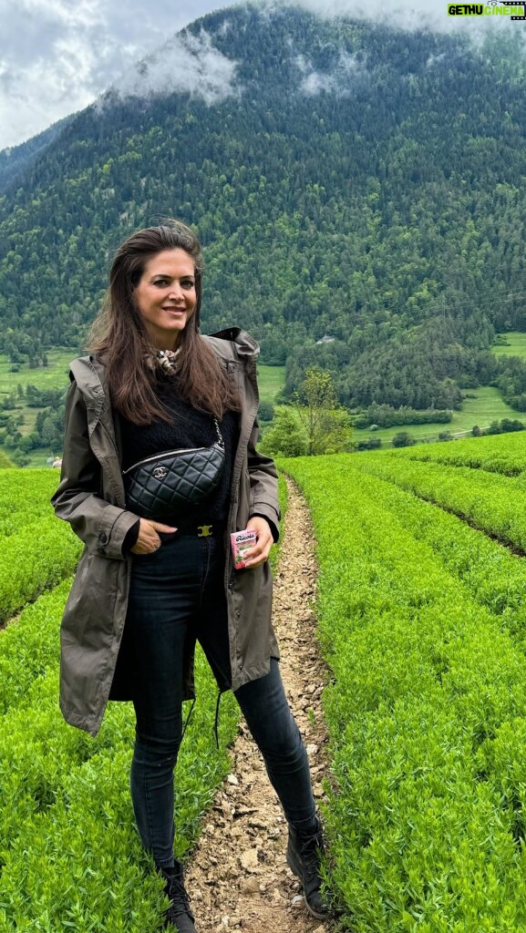 Astrid Coppens Instagram - Wat een geweldige ervaring! Hier in Zwitserland 🇨🇭 heb ik de heerlijke kruiden van de beste Ricola kruidenbonbons ontdekt. Ik was altijd al fan, maar nu nog meer! #ricolabe #zwitserland #suisse #naturellementbon #nature #bienetre #bonbons #advertentie
