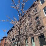 Athena Karkanis Instagram - Spring glorious spring!! After that looooong dark winter it’s especially rejuvenating! Happy Easter 🐰🐣🐇 !