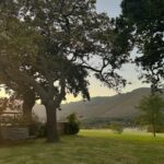 Athena Karkanis Instagram - Stanford Valley and Hermanus, also known as as the place I live in my dream life 😍
